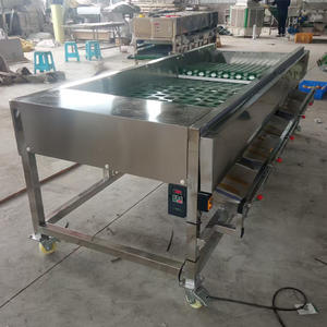 Máquina Automática de Clasificación y Calibración de Frutas y Verduras para Plantas de Procesamiento, 3 Niveles, Velocidad Ajustable - Product Image 5