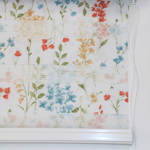 2025 tốt nhà trung tâm đôi kép tuyệt hoa in phong cảnh Zebra Con lăn rèm cửa sổ - Product Image 1