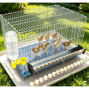 Recinto Portátil Todo en Uno para la Recolección <span class=keywords><strong>de</strong></span> Huevos para Gallinas Ponedoras con Acabado <span class=keywords><strong>de</strong></span> Superficie Anticorrosión - Product Image 3