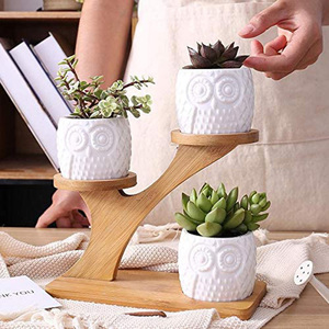 Pots succulentes et adorables en forme de hibou, avec <span class=keywords><strong>3</strong></span> niveaux, support à soucoupes en bambou, pour le jardin et la maison, vente en gros, 7 pièces - Product Image 5