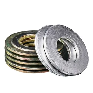 Edelstahl Metall 316 Weich eisen Ring verbindungs dichtungen Spiral gewickelte Dichtung Hersteller