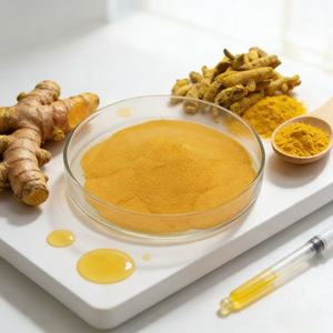Suministros de Fábrica, Curcumina Pura Natural de Alta Calidad, 95%, Suministro de Polvo OEM - Product Image 2
