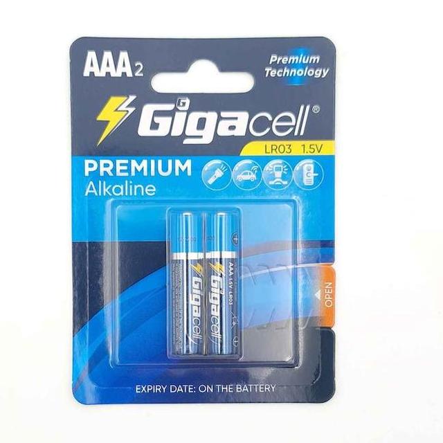 1.5v AAA Premium Alkaline Dry Batteries with Premium Performance for Remote Control Digital Thermometers