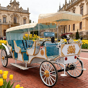 Carroza Eléctrica para Turismo 2026, Vehículo de Transporte de Pasajeros - Product Image 2