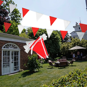 Cờ treo trang trí ngoài trời thiết kế tùy chỉnh năm 2025, nhiều màu sắc, chất liệu sợi thủy tinh, in kỹ thuật số, thân thiện với môi trường, thương hiệu Qiyun - Product Image 2