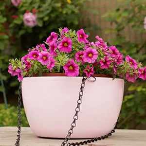 Pots de fleurs suspendus, panier de plantes suspendues, support de pot suspendu d'extérieur, panier pour décoration murale, jardin