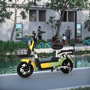 Bicicleta de Equilibrio para Adultos con Motor Trasero de 350W, Bicicleta Eléctrica - Product Image 1