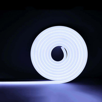 Bande lumineuse néon HRSYT, extrusion de protection en caoutchouc pour bande lumineuse LED RGB en silicone