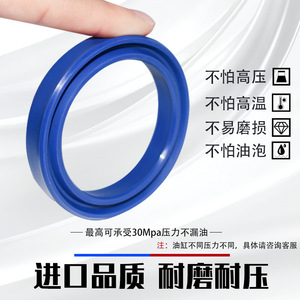 โอริงแบบรวม 200 มม. ซีลน้ำมันไฮดรอลิกสำหรับกระบอกไฮดรอลิก - Product Image 5