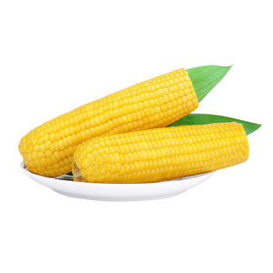 <span class=keywords><strong>Precio</strong></span> del Maíz Amarillo, Maíz Ceroso - Product Image 3