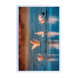 หน้าจอ IPS LCD รุ่น G101ICE-LH1 ขนาด 10.1 นิ้ว ความละเอียด 1280x800 พร้อมไฟแบ็คไลท์ WLED ความสว่างสูง สำหรับอุตสาหกรรม  อินเทอร์เฟซ TFT LVDS - Product Image 6