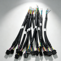 طقم أسلاك مخصص حسب الطلب مع موصلات نحاسية مطلية بالقصدير وغلاف PVC بتصنيف IP67 وفقًا لمعيار IATF16949 للإلكترونيات في السيارات