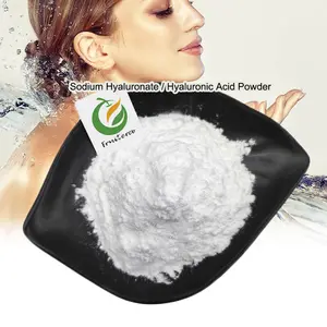 Food and Cosmetic Grade Sodium Hyaluronate Hyaluronic Acid Powder