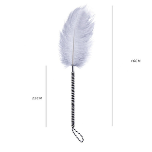 Sexspielzeug <span class=keywords><strong>Adult</strong></span> Feather Whip Fetisch Erotic Spanking Paddle Flirt Peitsche Sexy Romantische Massage <span class=keywords><strong>Adult</strong></span> Sexspielzeug Für Paare - Product Image 6