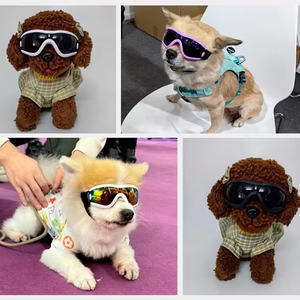 Lunettes de soleil écologiques pour <span class=keywords><strong>chien</strong></span> avec sangle réglable, protection UV, anti-poussière/anti-vent, motif à pois, en polycarbonate, pour l'hiver - Product Image 6