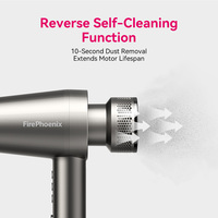 Sèche-cheveux professionnel FirePhoenix M2 haute vitesse, compact, faible bruit (65 dB), 110 000 tr/min, léger (430 g), 2000 W, pour salon et hôtel