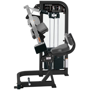 Entrenador de bíceps para interiores, máquina de <span class=keywords><strong>curl</strong></span> de bíceps de fábrica de China, gran oferta - Product Image 5