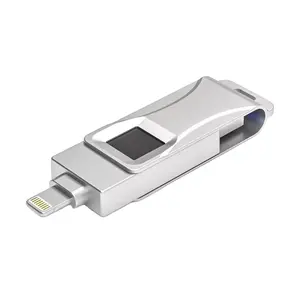 Merek khusus 64GB sidik jari terenkripsi U Disk 128GB 256GB 512GB stik cepat enkripsi Thumb Flash Drive USB