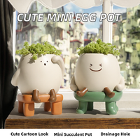 Pot Tanaman Sukulen Mini Lucu Bentuk Telur dari Resin Poliester, Desain Wajah Tersenyum Kartun, Dilengkapi Lubang Drainase