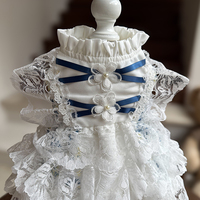 Accessoires pour chiens, vêtements pour animaux de compagnie pour petits chiens et chats, robe de mariée et tenue d'anniversaire