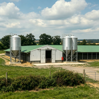 Poulailler moderne en structure acier à grande portée, anti-corrosion, avec ventilation intégrée, personnalisable pour l'élevage de volailles