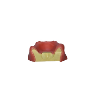 Sản Xuất Maxillary Xoang Nâng Tập Thể Dục Thực Hành Nha Khoa Mô Hình Cấy Ghép Mô Hình Đào Tạo Nha Khoa Răng Mô Hình <span class=keywords><strong>B</strong></span> - Product Image 6