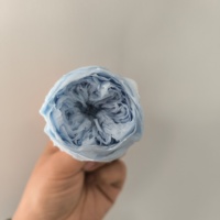 Top Qualité Éternel Réel Préservé Austin Fleurs Rose David Austin Préservé Austin Fleur pour DIY Artisanat Bouquet De Fleurs Sèches
