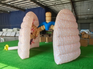 Modelo de Pulmón Humano Inflable Personalizado para Demostraciones en el Aula y Herramienta de Educación Médica - Product Image 4