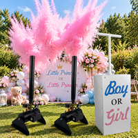 Lanceur de fumée et de poudre à un clic pour révélation du sexe du bébé, machine à poudre pour fête prénatale et décoration de mariage