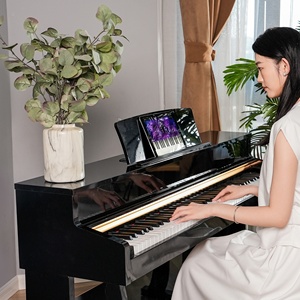 BD MUSIC 8803 LED Holzhammer Action 88 Tasten Elektronische Orgel Grand Midi Digital piano Musikalische Tastatur instrumente - Product Image 4