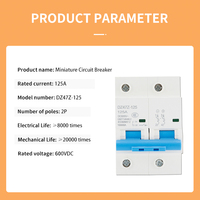 DZ47Z-125 disjoncteur Miniature d'origine haute puissance 2P interrupteur d'air 125A Protection contre les courts-circuits de surcharge alimentation d'usine 10KA