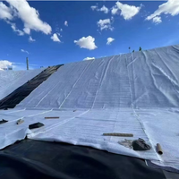 Rouleau de géotextile non tissé écologique 100 g/m² pour la filtration, la séparation et le renforcement dans les projets civils
