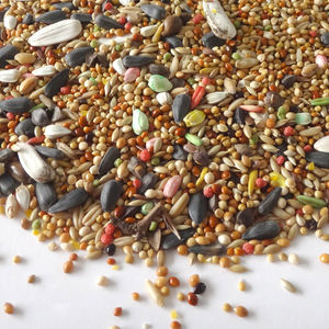 อาหารนกพรีเมียม 2 ปอนด์ สำหรับ<span class=keywords><strong>นก</strong></span>ค็อกเทลและ<span class=keywords><strong>นก</strong></span>เลิฟเบิร์ด - Product Image 4