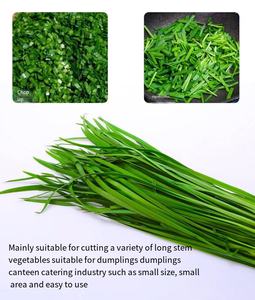 Coupe-légumes électrique professionnel pour cuisine commerciale : Persil, oignon vert, poireau, poivron, radis, pomme de terre – Trancheuse et râpeuse - Product Image 3