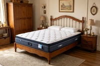 Matelas à ressorts personnalisé OEM, mousse à mémoire de forme, Euro Top, tissu respirant, matelas à ressorts compressé et roulé