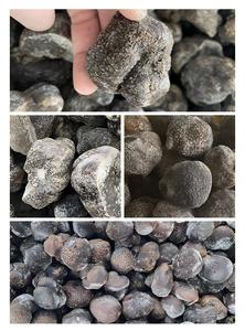 Trufas Negras Silvestres de Yunnan Congeladas Rápidamente (IQF) de 1 kg, <span class=keywords><strong>Precio</strong></span> de Fábrica, del Fabricante de Yunnan - Product Image 5