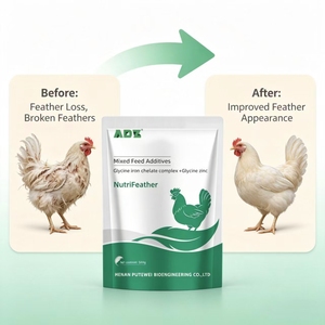 NutriFeather, Premezcla Nutritiva para el Cuidado <span class=keywords><strong>de</strong></span> Plumas <span class=keywords><strong>de</strong></span> Aves <span class=keywords><strong>de</strong></span> Corral, Mejora el Brillo <span class=keywords><strong>de</strong></span> las Plumas, Alivia el <span class=keywords><strong>Trastorno</strong></span> <span class=keywords><strong>de</strong></span> Picar - Product Image 4