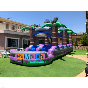 30ft dài nhiệt đới PVC bơm hơi đôi làn trượt 'n trượt với hồ bơi trượt bơm hơi bao gồm với quạt gió và bộ dụng cụ sửa chữa - Product Image 5