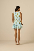 Robe trapèze en crêpe sur mesure de haute qualité, design personnalisé, imprimé botanique bleu clair, sans manches, mini-robe pour femme