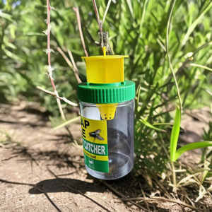 Bouteille piège à mouches des fruits jetable en plastique écologique pour la ferme et le jardin, dispositif de capture des guêpes - Vente en gros - Product Image 2