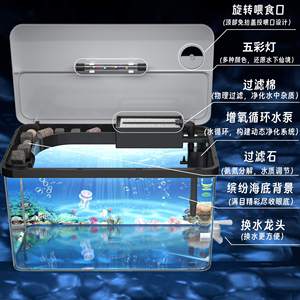 Large Capacity Transparent Rectangle Fish Tank For Living Room Desktop Ecological Landscape Aquarium With High Transparency - Product Image 3