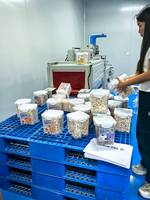 Friandises lyophilisées à la viande de poulet sans céréales riches en protéines FurZc pour chats - Soin du pelage, santé des articulations, soutien digestif 500g