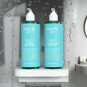 Aimant magique Offre Spéciale Double support en plastique ABS hôtel salle de bain manuel shampooing conditionneur distributeur avec pompe