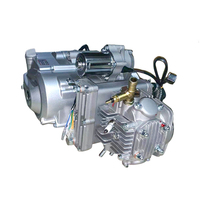 OEM China Lifan Engine Factory 140cc Engine Motorcycle Engine Assembly