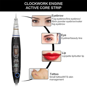 Kit de tatouage <span class=keywords><strong>machine</strong></span> de maquillage permanente <span class=keywords><strong>machine</strong></span> de dispositif G professionnel, stylo de tatouage de <span class=keywords><strong>machine</strong></span> de tatouage de Microblading - Product Image 6