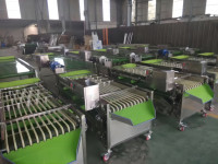Vbjx Food Tomaat Avocado Cherry Apple Optische Sorteermachine Voor Groente