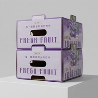 Modellen, stijlvolle, kleurrijke golfkartonnen doos, nieuw design, verpakking van karton voor gedroogd fruit, groenten en sap.