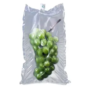 Grape Cosmetics Prevent Damage And Damage Fruit Transportation Protection Double-layer Air Column Bags