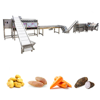 Industriële voedselverwerkingslijn zoete aardappel schil-, snij-, was- en snijmachine