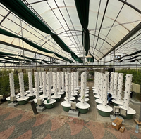Tour d'hydroponie et d'aéroponie à 5-13 niveaux pour ananas, avec réservoir d'eau de 65L, système de culture de légumes sans terre pour serre domestique